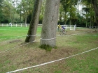 cadetsjuniors-cyclocross08 (10).jpg
